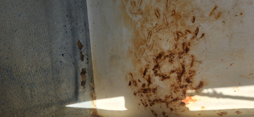 20230819_123021 (Small).jpg