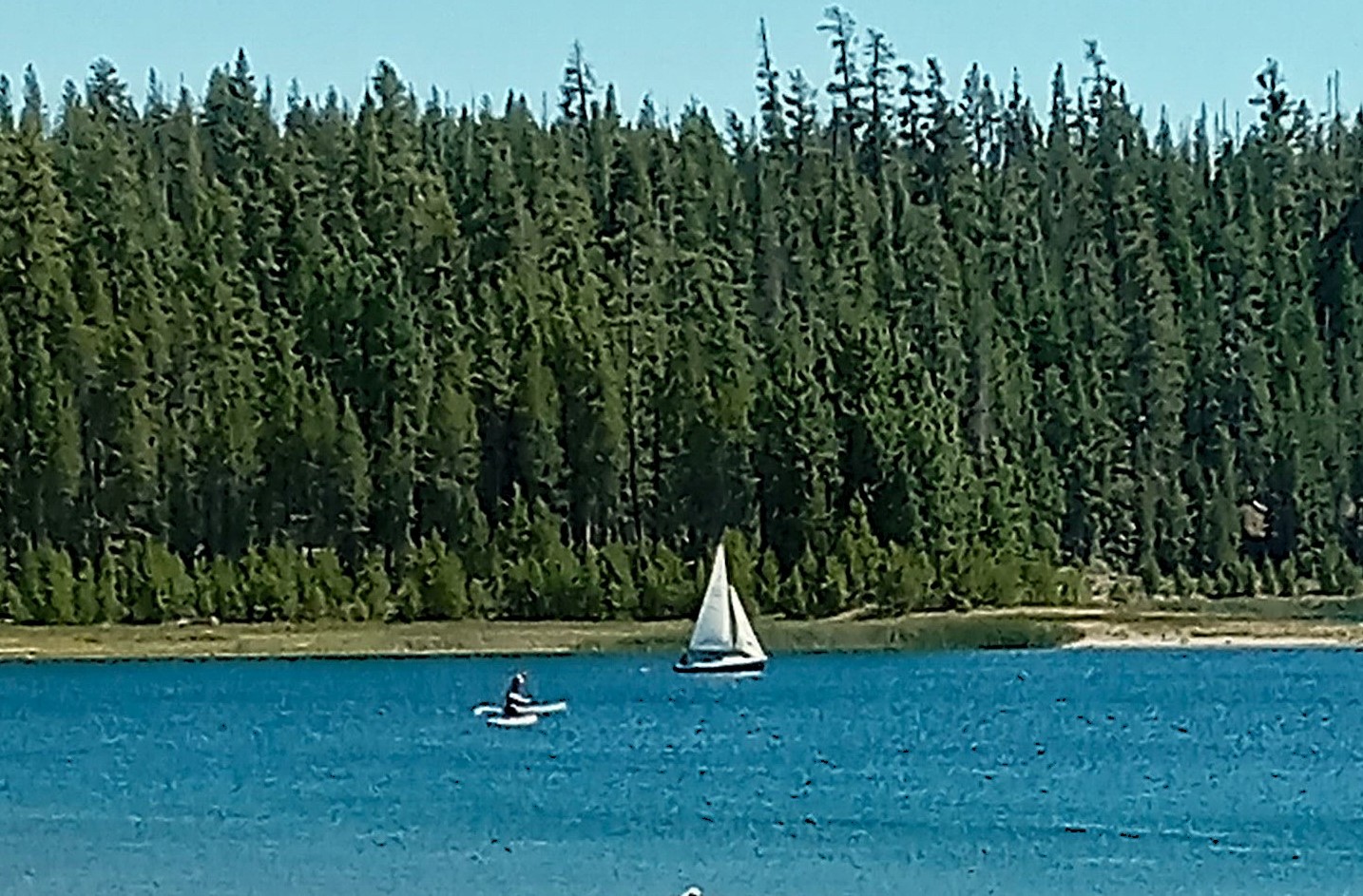 20240622_151855 -small.jpg