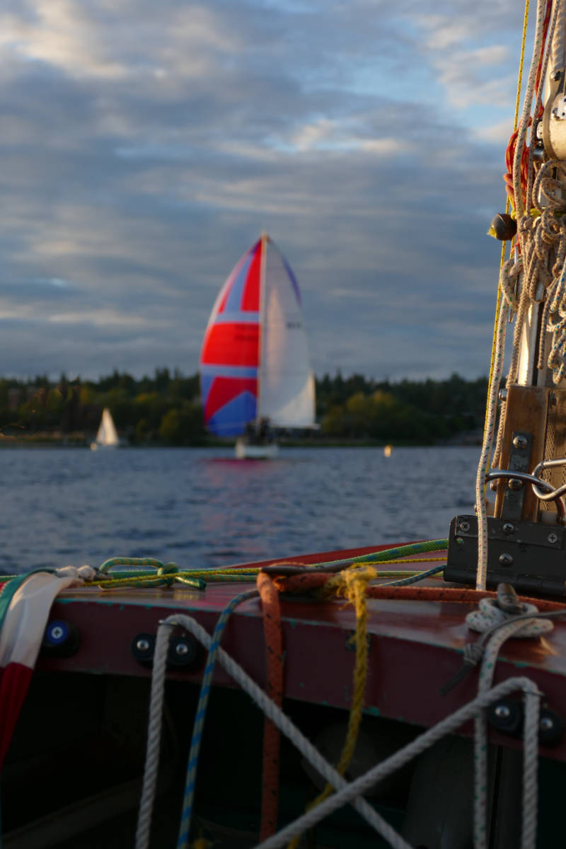 SpinnakerBoatAtSunset.jpg